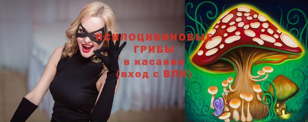 apvp Богданович