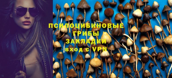 apvp Богданович