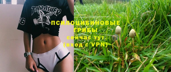 а пвп мука Богородицк