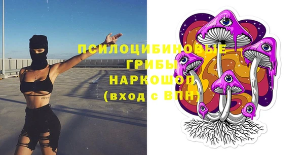 дживик Бугульма