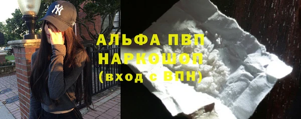 спиды Бородино