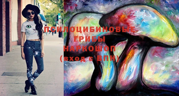 индика Бронницы