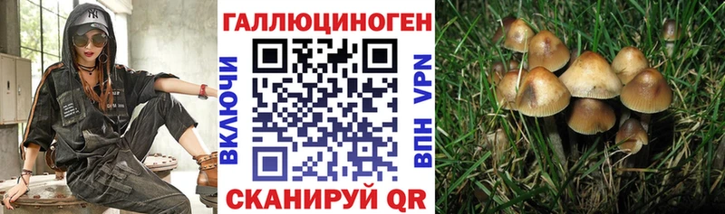 сайты даркнета какой сайт  Нижнекамск  Псилоцибиновые грибы GOLDEN TEACHER  mega сайт 